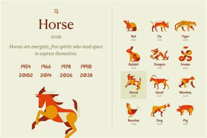 The Year of the Horse