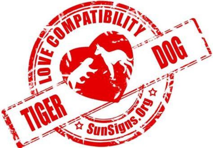 Tiger And Dog Compatibility: Unbreakable Bond