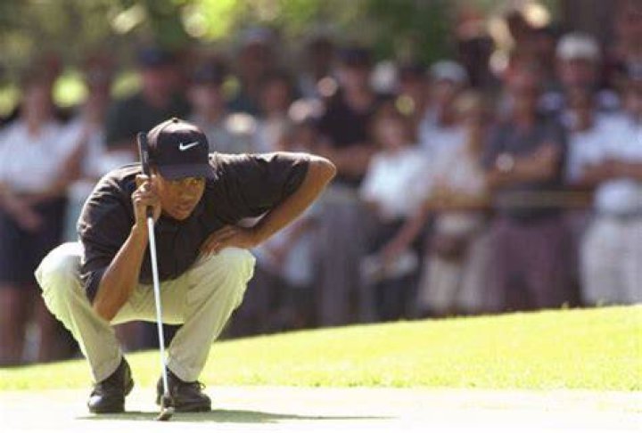 Tiger Woods' son Charlie impresses US Open fans with swing and feline