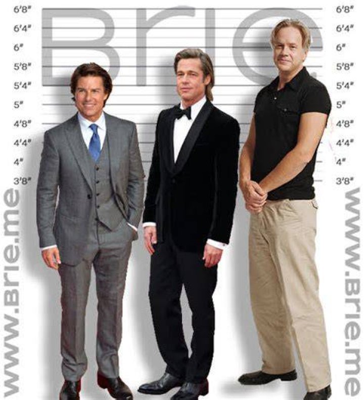 Tim Robbins Height Brie