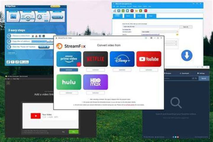 Top 10 Downloader to Get Manyvids Downloads for Free