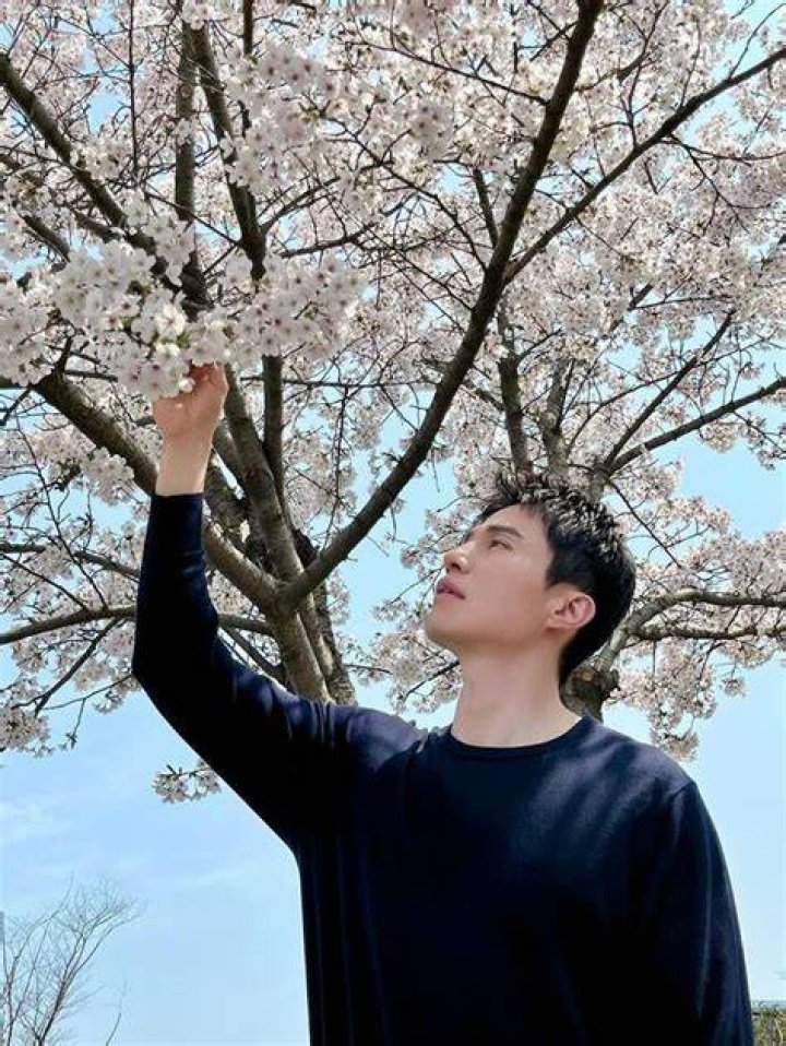 Top 75+ imagen lee dong wook wife Thptnganamst.edu.vn