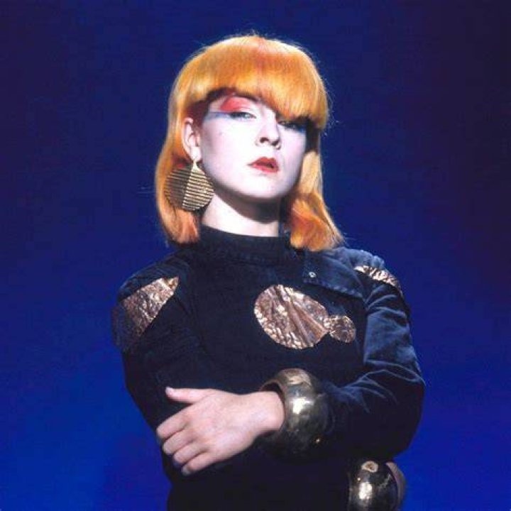 Toyah Willcox Height, Weight, Net Worth, Age, Birthday, Wikipedia, Who, Nationality, Biography