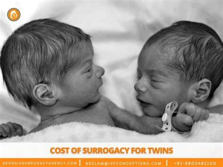 Twins by Surrogacy Is it Possible? Family Creations Blog