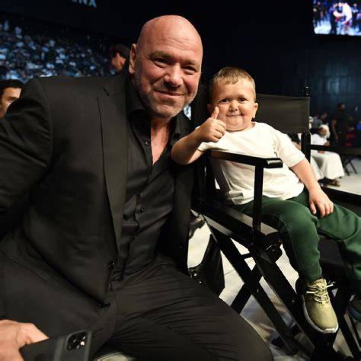 UFC signee Hasbulla accused of ripping fans off during Australia tour