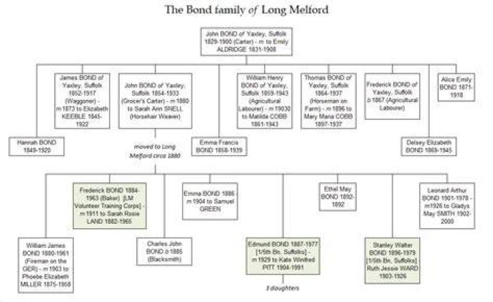 Uncovering The Bond And Family Tree