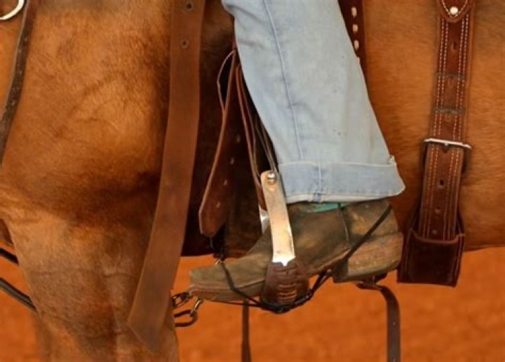 Unlock The Secrets Of Better Bands Barrel Racing: Discoveries And Insights