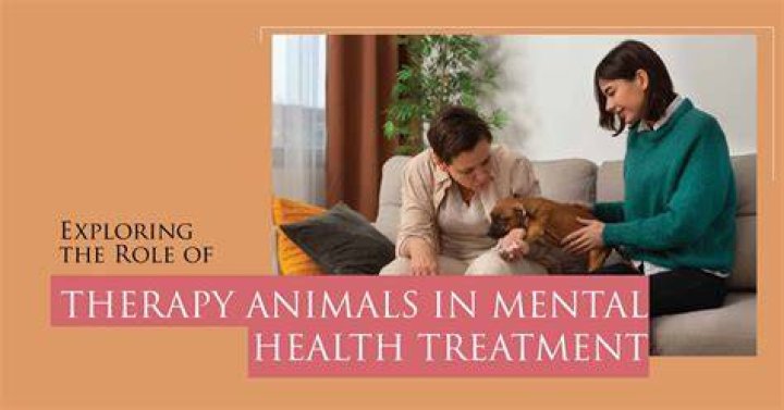Unraveling Animal Cruelty And Mental Health