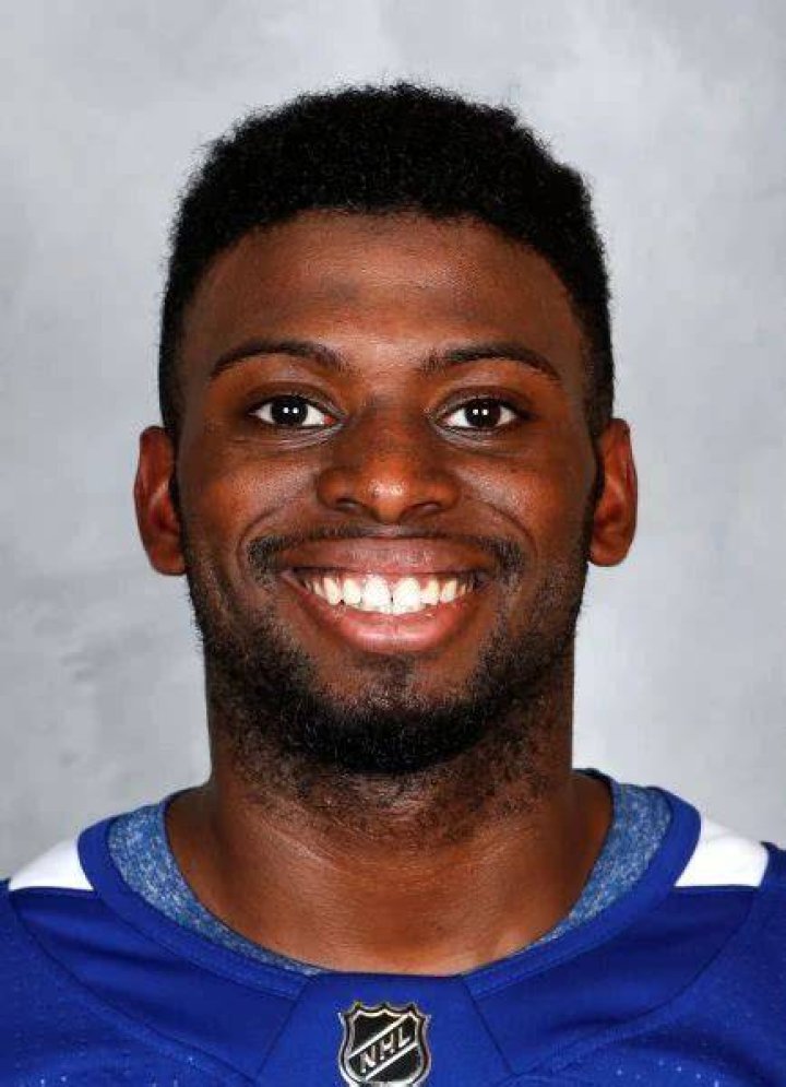 Unraveling Jordan Subban's NHL Journey: Insights And Revelations