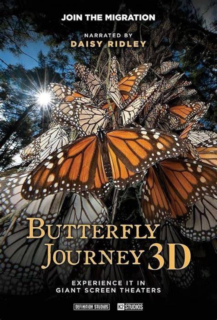 Unveiling BD Wong's Mastery In M. Butterfly: A Journey Of Discovery