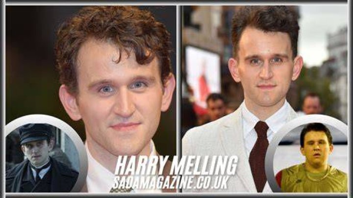 Unveiling Harry Melling's Career Breakthrough: Discoveries And Insights