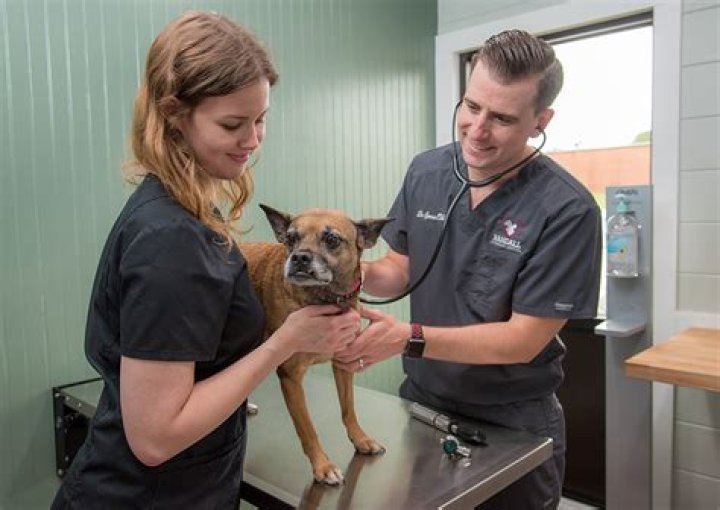 Veterinary Legacy Veterinarians WorldWide Mourn the Passing of Dr