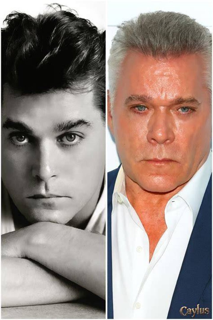 Was Ray Liotta Adopted? What to Know About His Family