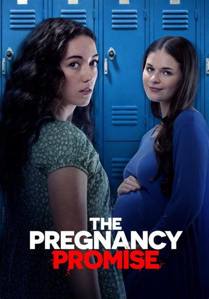 Watch The Pregnancy Promise Lifetime
