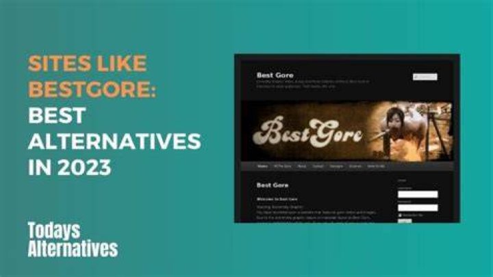 Websites Like BestGore What Are Best Shock Sites in 2022?