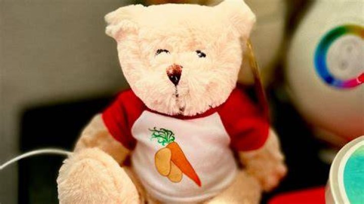 What Actually Is Belarusbearforce? John Oliver Mocking Belarus Bear Force Explained ·