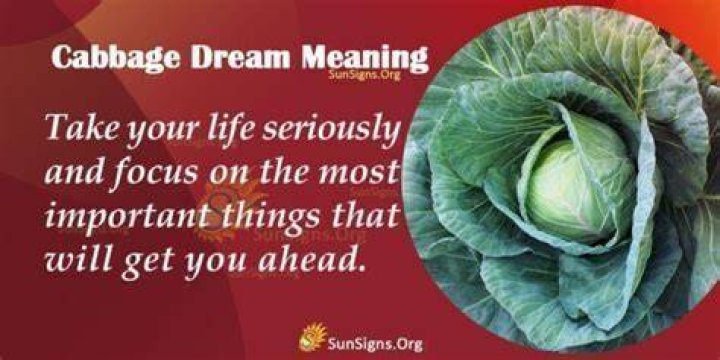 What Does It Mean To Dream About Cabbage? Interpretation And Symbolism