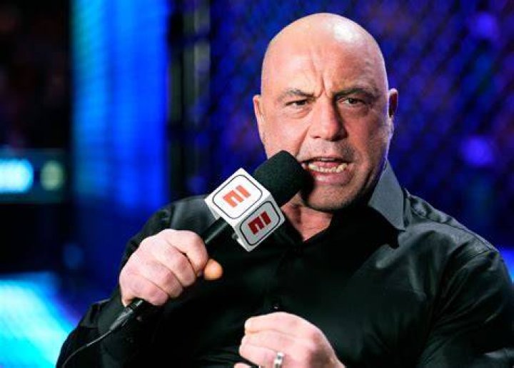 What does Joe Rogan's wife do for a living?