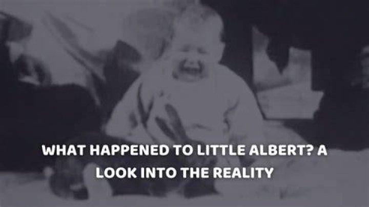 What Happened to Albert on 'Little House on the Prairie'? It's... Confusing