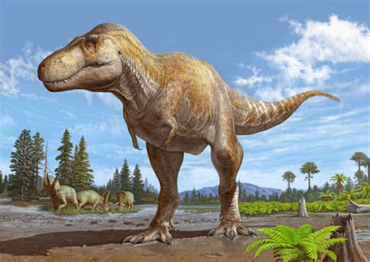 Whats the closest living animal to a dinosaur?