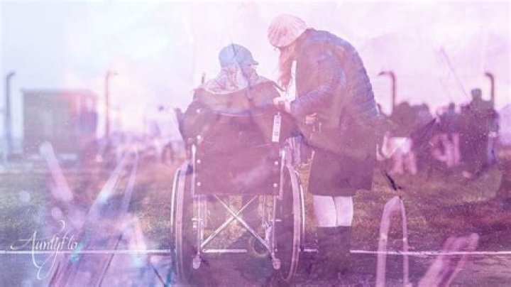Wheelchair Dream Dictionary Interpret Now!