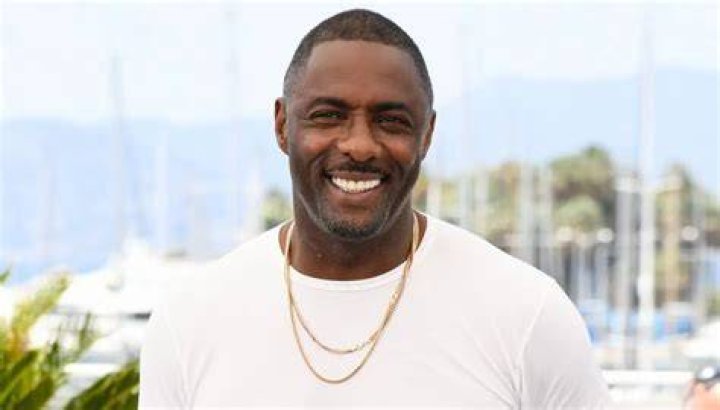 Who Is Idris Elba's Wife? Let's Meet Activist Sabrina Dhowre