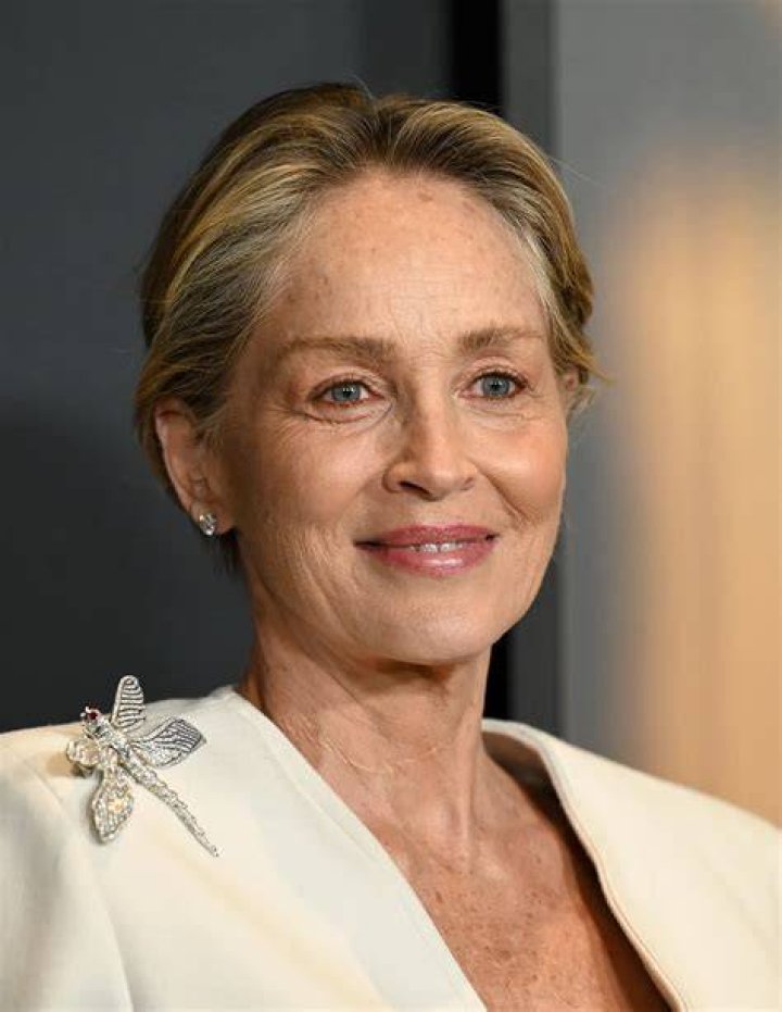 Who is Sharon Stone's exhusband Phil Bronstein? The US Sun