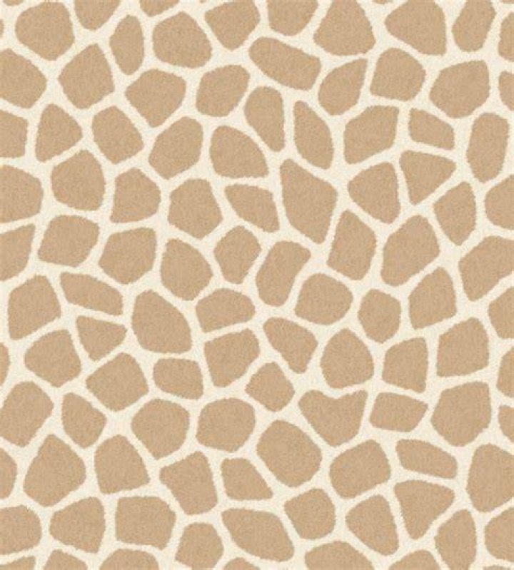 yellow giraffe print wallpaper if.... [Full Movie]&clubs; If Drew Didnt